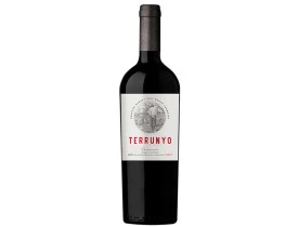 VINHO TERRUNYO CARMENERE 750ML